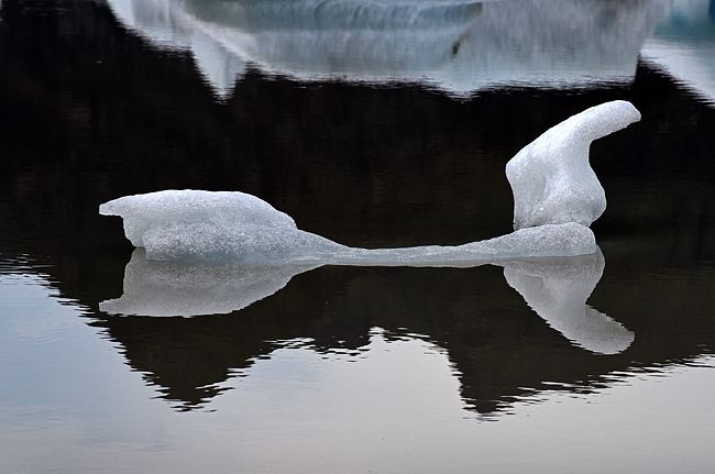 Gletcherlake I Iceland 2015